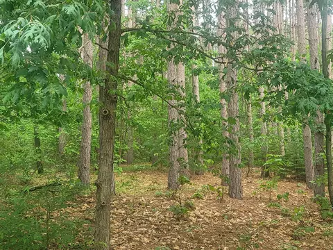 Evergreen E Drive, Waupaca, WI 54981