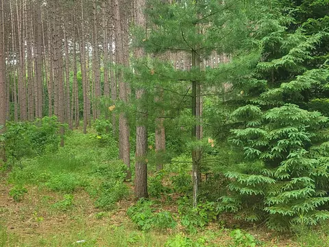 Evergreen E Drive, Waupaca, WI 54981