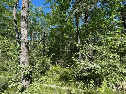 Woodpecker Road, Beecher, WI 54156