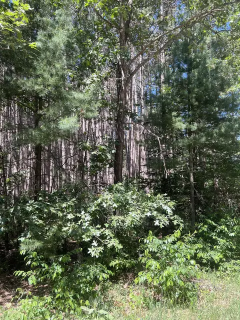 Evergreen Drive, Waupaca, WI 54981