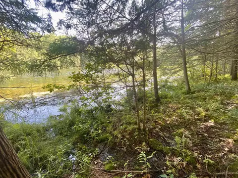 Old Hwy 64 Road, Pound, WI 54161