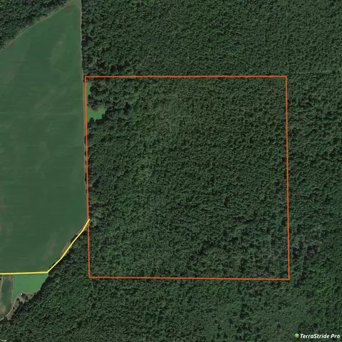 Phoebe Lane, Birnamwood, WI 54414