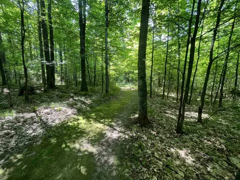 7630 Frontier Rd, Boulder Junction, WI 54512 photo 36
