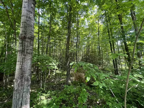 11010 Old 8 Rd, Crandon, WI 54520