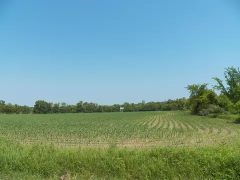Hawthorne Drive, Pulaski, WI 54162