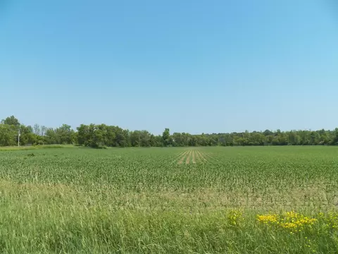 Hawthorne Drive, Pulaski, WI 54162