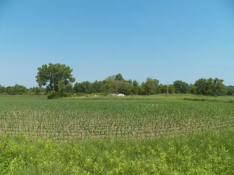 Hawthorne Drive, Pulaski, WI 54162