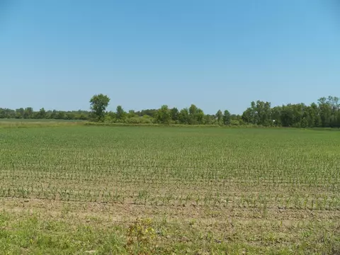 Hawthorne Drive, Pulaski, WI 54162