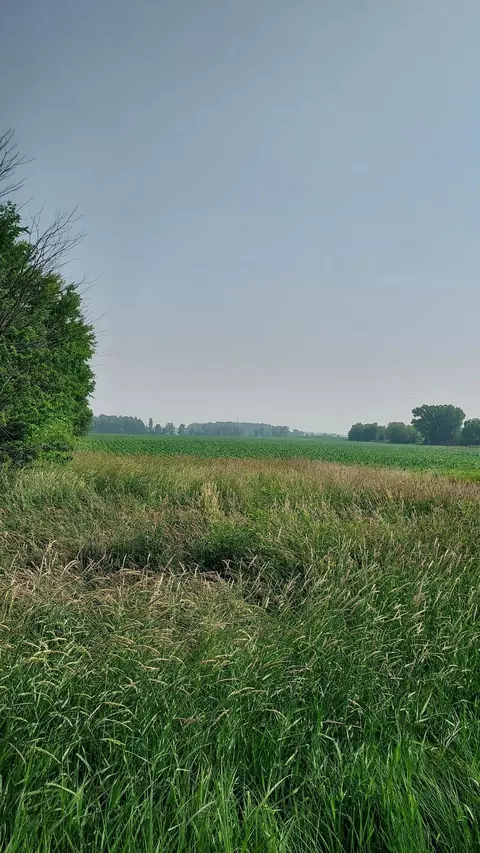 Brown County Line Road, Pulaski, WI 54162