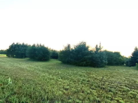 26 Th Ln #9, Redgranite, WI 54970
