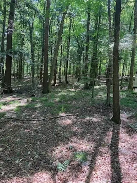 w15261 Old J Road, Athelstane, WI 54104