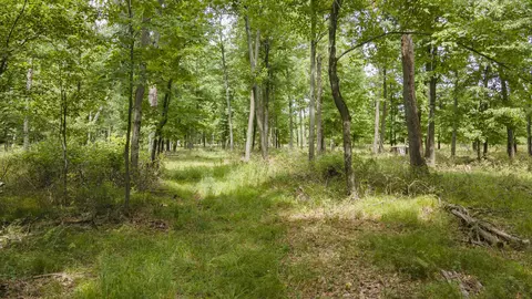 W14130 Apache Drive, Plainfield, WI 54966 photo 4