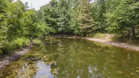 W14130 Apache Drive, Plainfield, WI 54966 photo 31