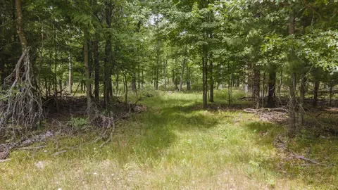 W14130 Apache Drive, Plainfield, WI 54966 photo 5