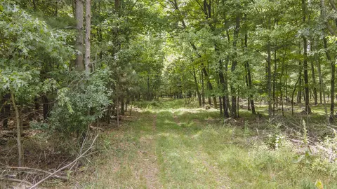 W14130 Apache Drive, Plainfield, WI 54966 photo 9