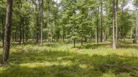 W14130 Apache Drive, Plainfield, WI 54966 photo 8