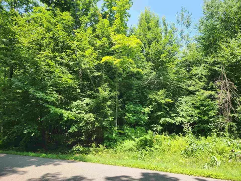 Y Camp Road, Mountain, WI 54174