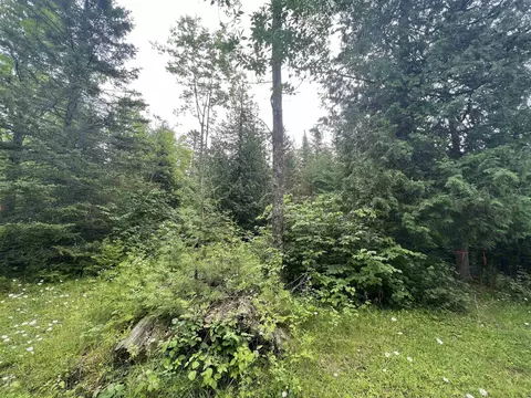 No 24 Lane, Cedar River, MI 49887