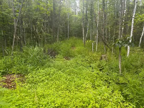 Swamp Road, Clintonville, WI 54929