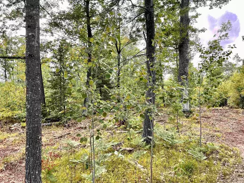 Quarry Road Lot 3, Crivitz, WI 54114