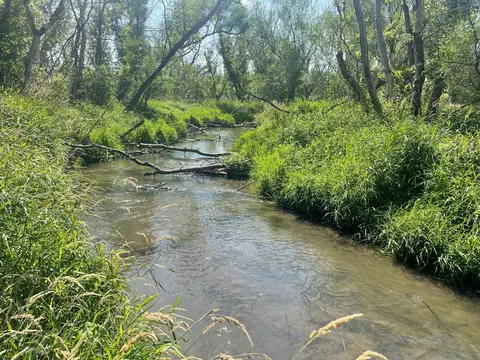 1491 Old Hwy 81, Argyle, WI 53504