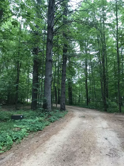 n9125 Deep Woods Lane, Gresham, WI 54128 photo 35
