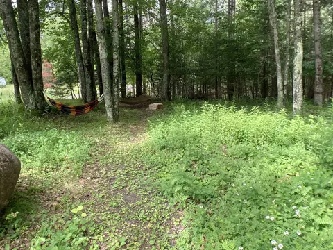 w12396 Roosevelt Road, Gresham, WI 54128 photo 25