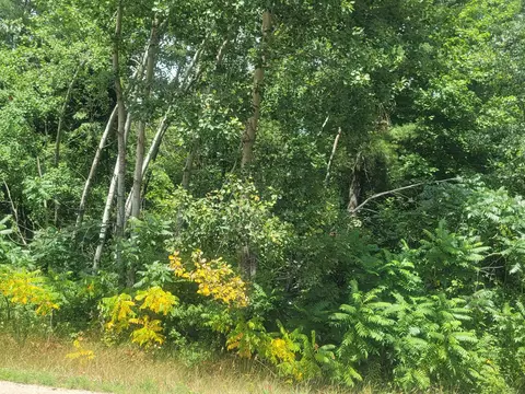 State Road 49, Fremont, WI 54940