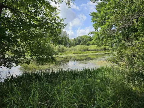 115 Sunset Dr, Iola, WI 54945 photo 23