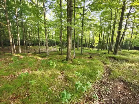 N11703 Lucke Lane, Daggett, MI 49821