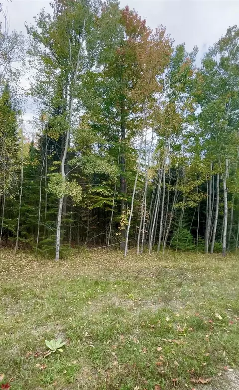 White Buck Lane, Crivitz, WI 54114