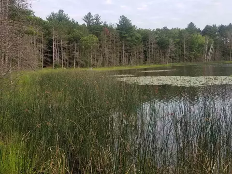 n2925 26th Road, Redgranite, WI 54970