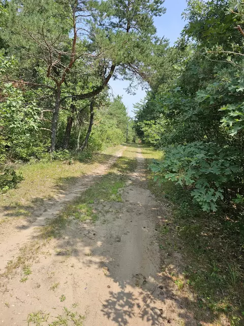 Cumberland Avenue, Coloma, WI 54930