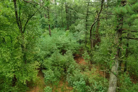 West Fork Road, Wautoma, WI 54982