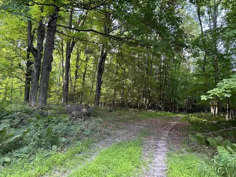 Berg Road, Tigerton, WI 54486