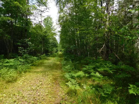 Walesh Lane, Silver Cliff, WI 54104