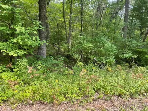 Lake Drive, Shawano, WI 54166