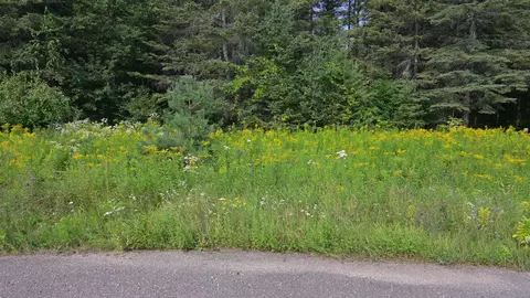 Happyness Circle, Townsend, WI 54175