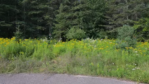 Happyness Circle, Townsend, WI 54175