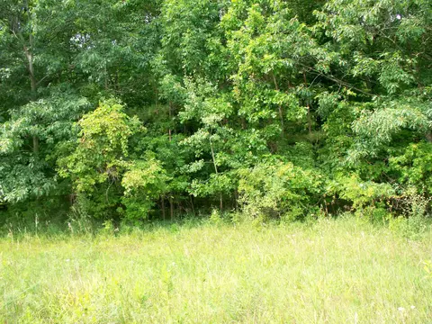 Mac Arthur Drive, Coleman, WI 54112