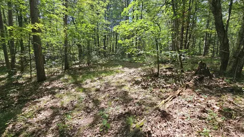 N1705 Hawks Nest Path, Keshena, WI 54135