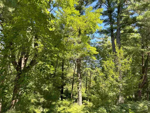 Castle Lane, Custer, WI 54423 photo 8