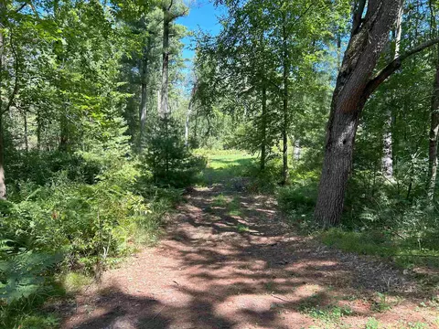 Castle Lane, Custer, WI 54423 photo 18
