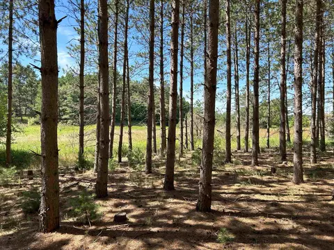 Castle Lane, Custer, WI 54423 photo 23
