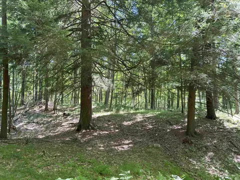 Castle Lane, Custer, WI 54423 photo 28