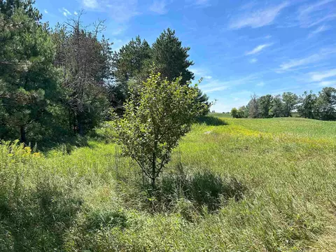 Castle Lane, Custer, WI 54423 photo 29
