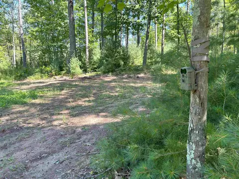Castle Lane, Custer, WI 54423 photo 7