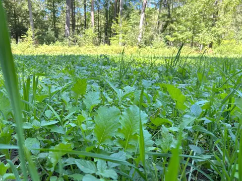 Castle Lane, Custer, WI 54423 photo 12