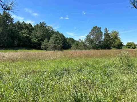 Castle Lane, Custer, WI 54423 photo 30