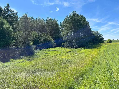 Castle Lane, Custer, WI 54423 photo 31